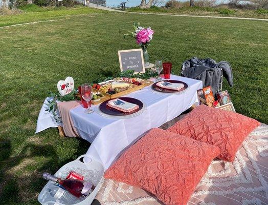 A Picnic To Remember