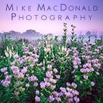 Mike MacDonald Photography features nature photography of the Chicago area, plus photography courses and DSLR camera classes.