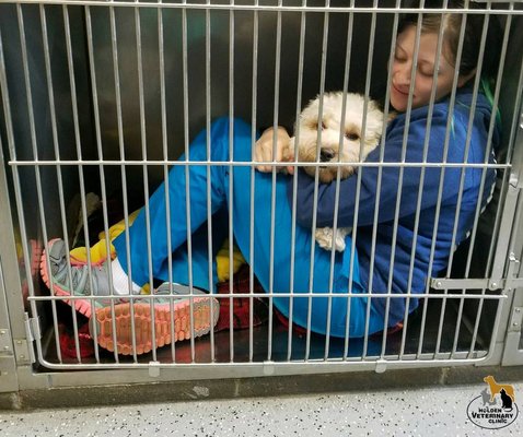 We take rainy day snuggles seriously! Bodhi needed a little love while he was waking up, and Lana was happy to climb in and give him some!