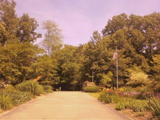 The Driveway to the Center in the middle of a neighborhood...