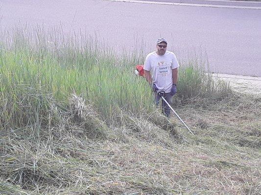 Weed Wacking During/Before