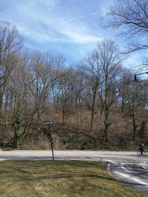 Lookout Hill in Prospect Park just inside the 16th Street entrance