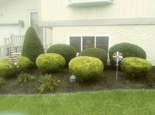 Edging of beds and trimming of tree jobs .