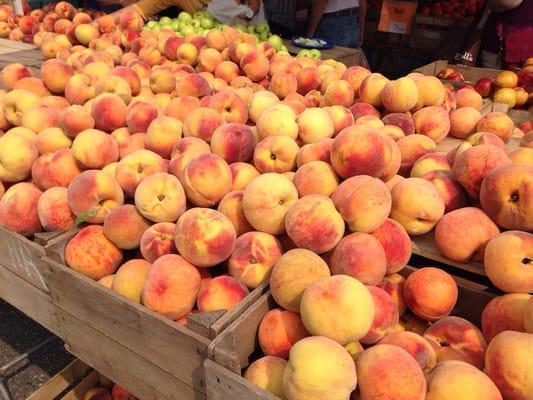 Burke Farmers Market