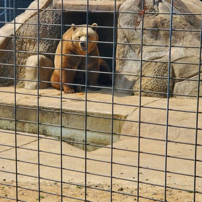 Plumpton Park Zoo