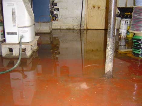 Water Damage Cleanup - Water Extraction Jersey City