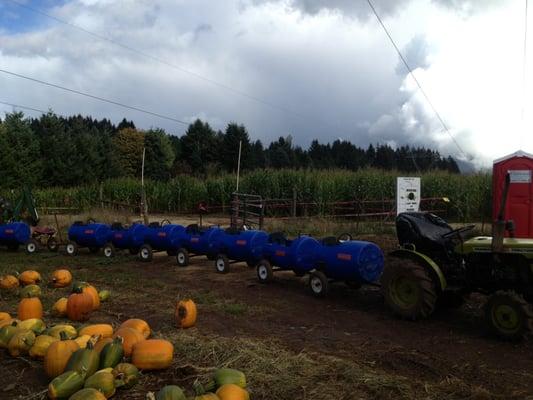 Train on the pumpkin patch