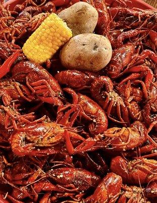 Crawfish