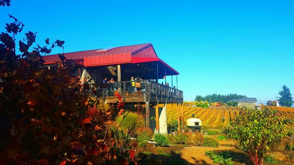 Brooks Wines in the fall.