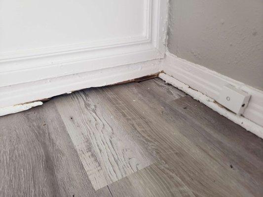 Rotting baseboards in entire house.