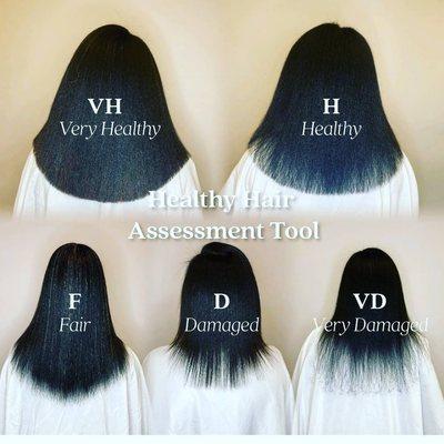 Not my Work, but examples of unhealthy hair.