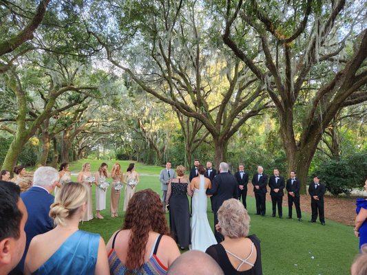 Avenue of oaks for ceremony