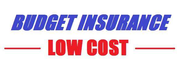 Budget Insurance