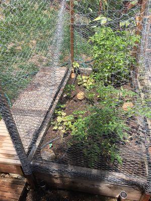 Homemade above ground organic garden