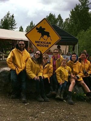 Mexican Moose at talkeetna alaska