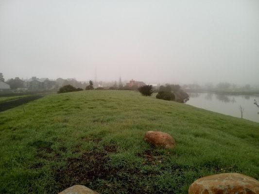 Fog over the Petaluma riverfront heritage walking trail. Sensitive wildlife, please leash your pups ‍