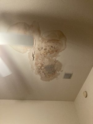 Customer had roof leak and needed his ceiling drywall repaired...