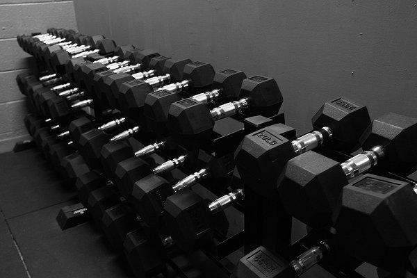 Rogue Dumbbells