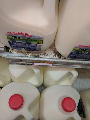 Milk display was disgusting! I rubbed my finger against it and it's all dirt!