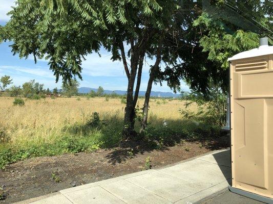 Three port-o-potties, and a field for a dog potty break.