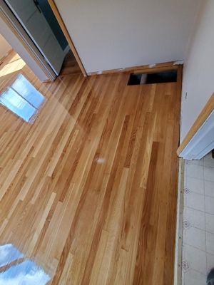 Mike's Hardwood Floors