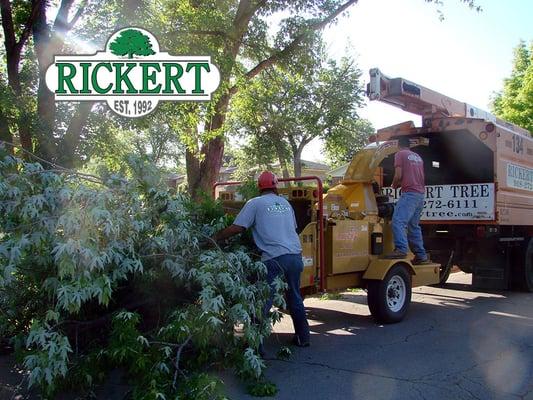 Tulsa Tree Services