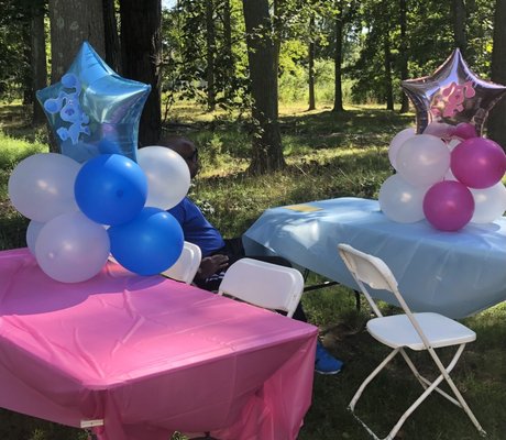 Blues clues themed balloon center pieces