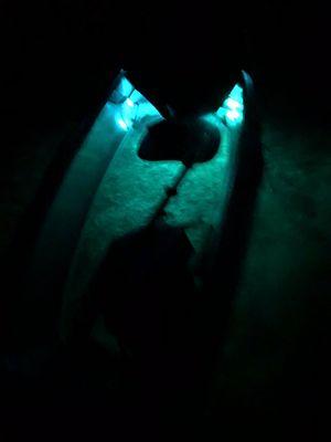 Amazing way to see underwater at night