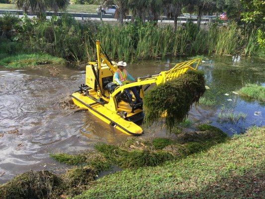 Harvesting Aquatic Vegetation