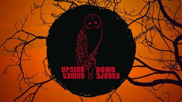 Upside Down Escape Games