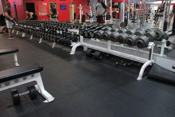 Free weights at Vivion Genesis