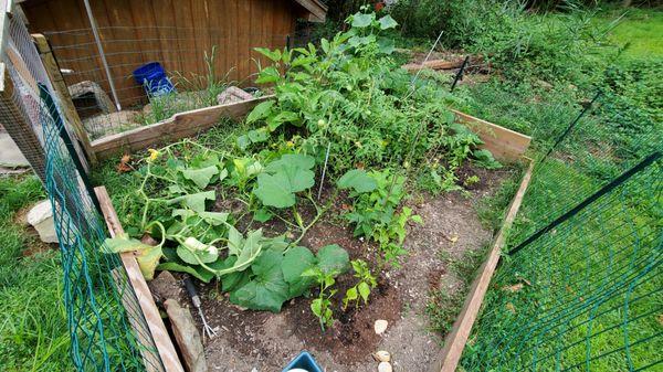 Gedney Farms Nursery