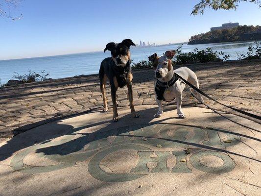 Lakewood Park downtown Cleveland lookout