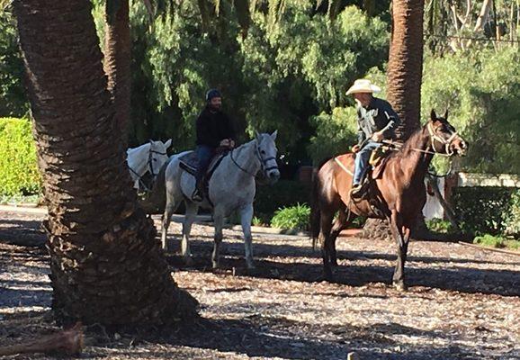 Palos Verdes Estates horse show