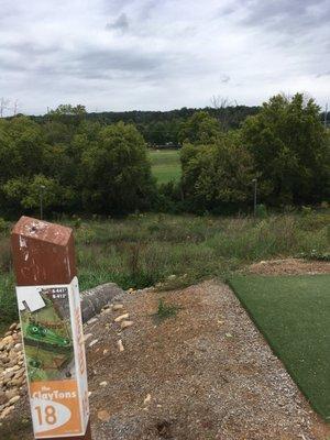 The claytons hole 18 is through and over this clearing in the woods. Very challenging shot.