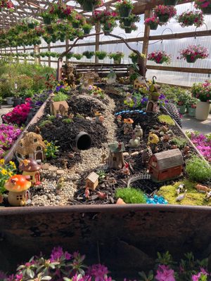 Huge Fairy Garden !