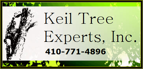 KEIL Tree Experts Inc logo