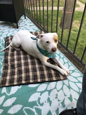 Chillin on the porch after daycare