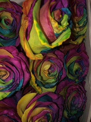 Rainbow roses