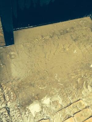 Mud on floor so thick it splashed when you shut the door!