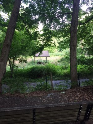 Cool little spot to sit and watch for a deer to come out and feed here.