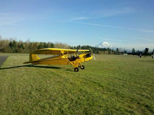 J3 cub for rental