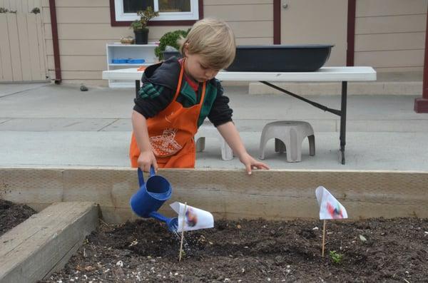 practical life watering the garden gives the child a sense of responsibility along with the excitement of seeing plants grow!