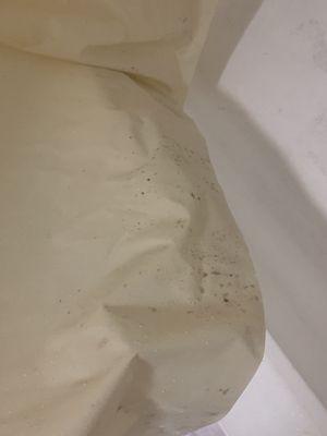 Mold on the shower curtain, so they don't really clean the rooms.