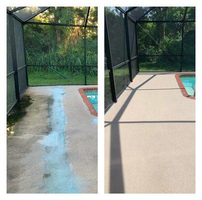 Removed stains on pool deck and sealed it with high quality paint. Client was thrilled!