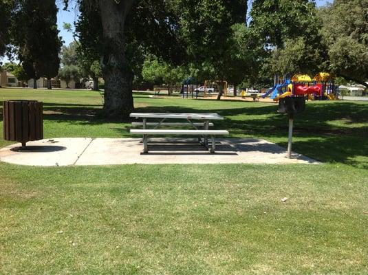 Picnic tables with BBQ grills spaced around edges of park