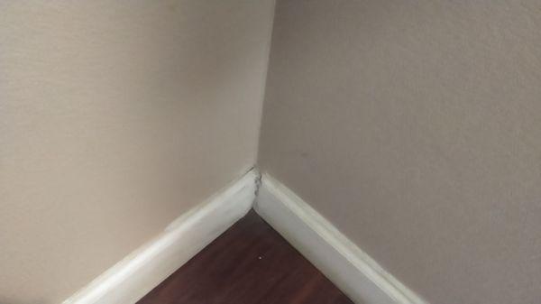 Dirty walls and baseboards