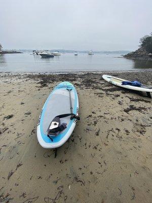 Paddle board & waist floaty!