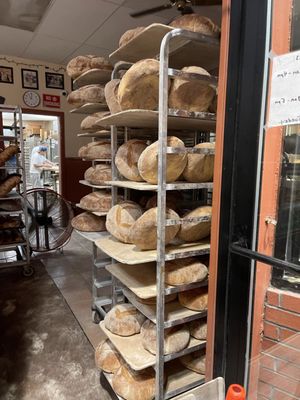 Delicious! Parziale Italian Bakery - Breads, Pizza & Cookies @ St. Anthony's Italian Feast North End Boston Aug 2021