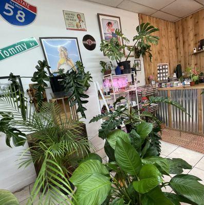 inside plant shop